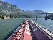 The Shaver Transportation tugboat Lincoln and a tow of four barges full of wheat approach the Bridge of Gods along the Columbia River.