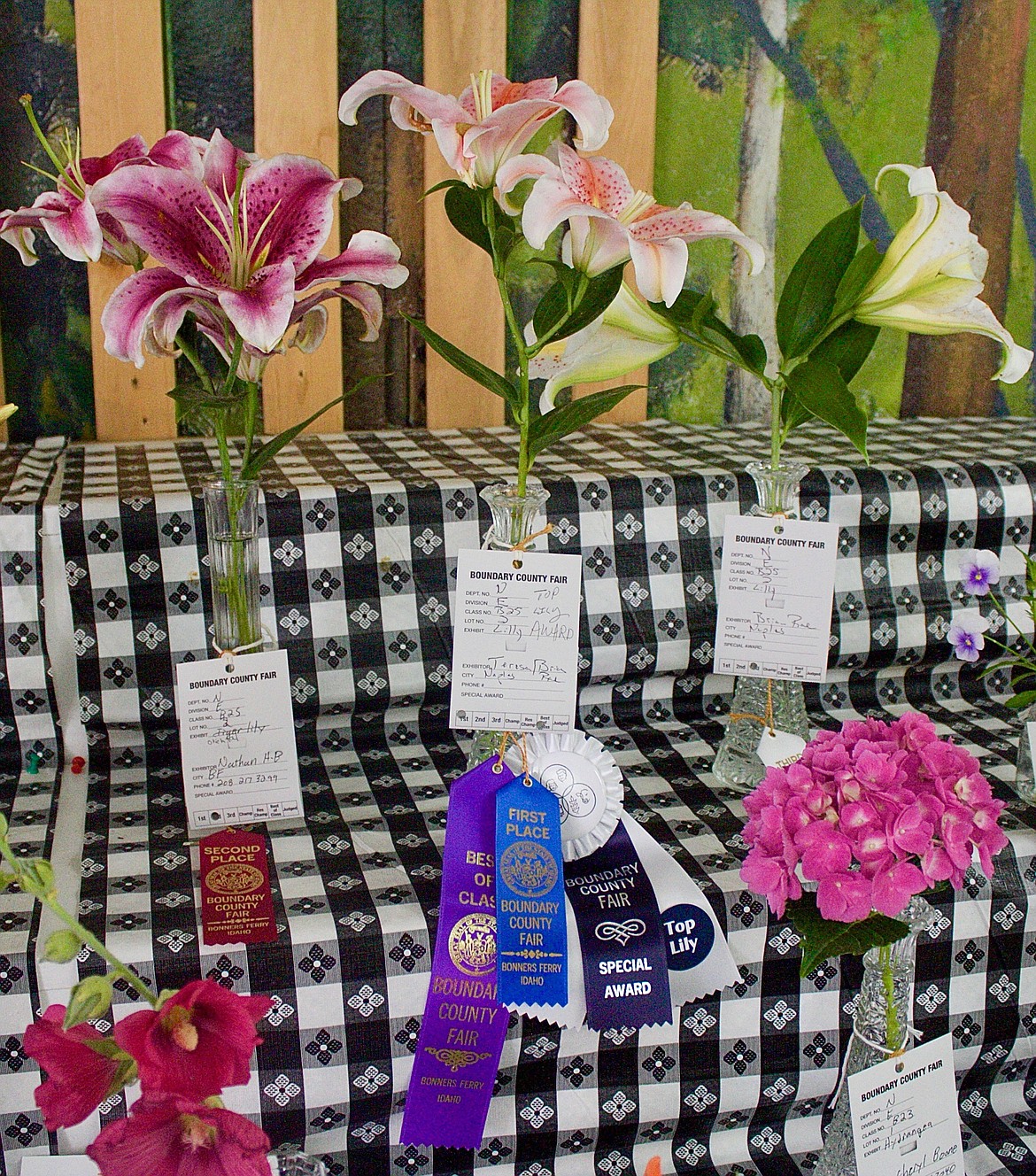 The Lily Award, Special Award, a blue ribbon and Best of Class was awarded to Teresa and Brian Rae of Naples.