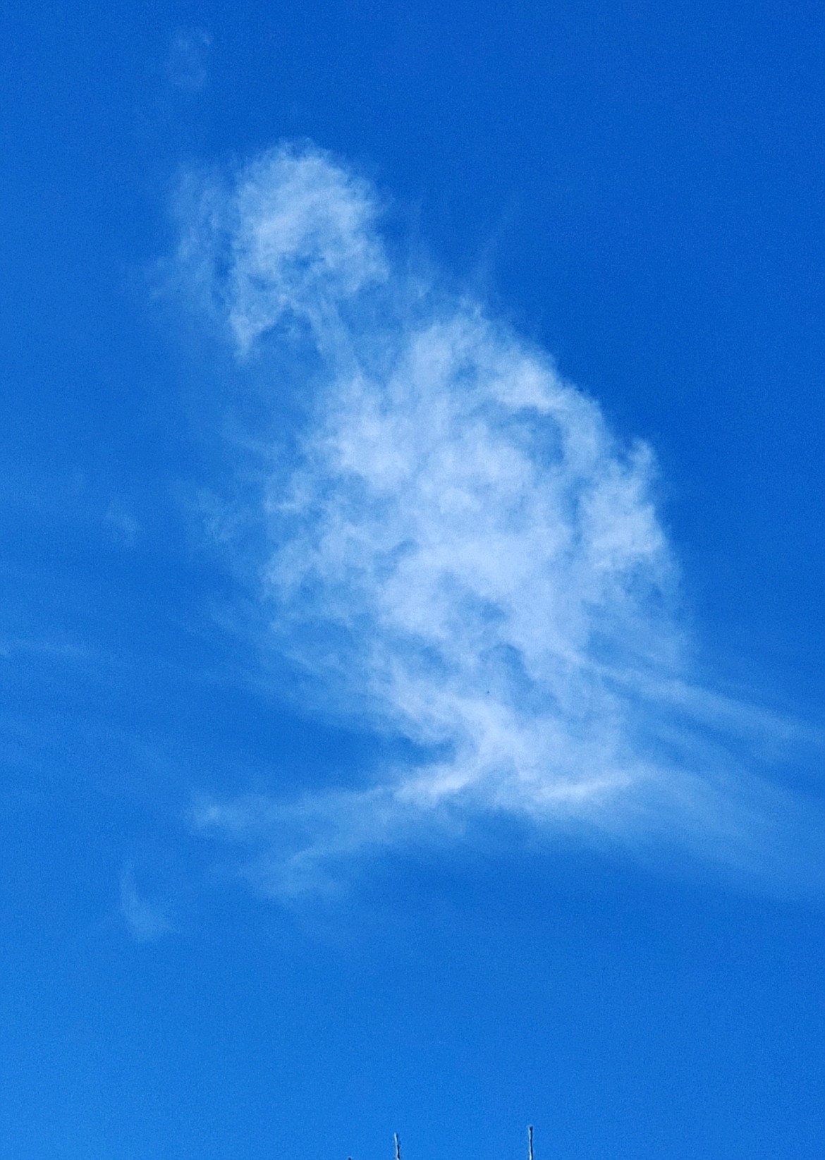 Rudi Patterson shared this Best Shot of a "fowl sky" over Sagle recently. If you have a photo that you took that you would like to see run as a Best Shot or I Took The Bee send it in to the Bonner County Daily Bee, P.O. Box 159, Sandpoint, Idaho, 83864; or drop them off at 310 Church St., Sandpoint. You may also email your pictures in to the Bonner County Daily Bee along with your name, caption information, hometown and phone number to news@bonnercountydailybee.com.