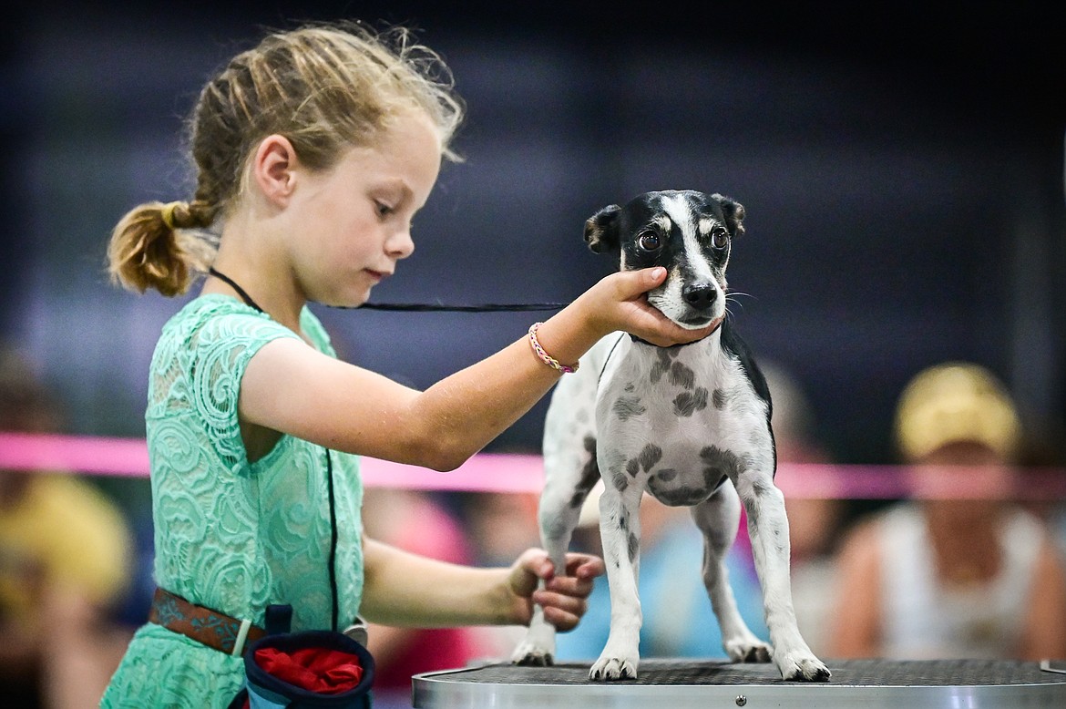 Kylee Oedekoven shows her dog Echo, a Jack Russell/rat terrier mix, at the 4-H Dog Show at the Northwest Montana Fair on Friday, Aug. 12. (Casey Kreider/Daily Inter Lake)