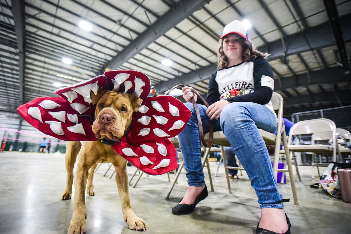 Kathryn Fleury and her Shar-Pei/pit bull mix named Lylith wait for the start of the costume contest at the 4-H Dog Show at the Northwest Montana Fair on Friday, Aug. 12. Lylith is wearing a "Demodog" costume, a play on the Demogorgon character from the Netflix show "Stranger Things." Fleury created and sewed the costume herself, which resulted in a trip to the emergency room after she accidentally stitched her fingers in a sewing machine. (Casey Kreider/Daily Inter Lake)