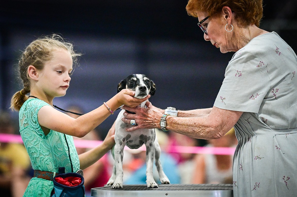 Kylee Oedekoven shows her dog Echo, a Jack Russell/rat terrier mix, to judge Penny Zorn at the 4-H Dog Show at the Northwest Montana Fair on Friday, Aug. 12. (Casey Kreider/Daily Inter Lake)