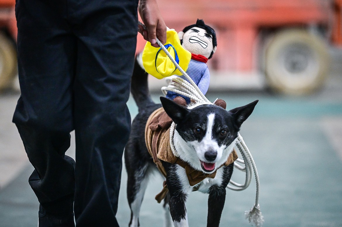 Colton Oedekoven shows his dog Meadow, a border collie cross, during the costume contest at the 4-H Dog Show at the Northwest Montana Fair on Friday, Aug. 12. (Casey Kreider/Daily Inter Lake)