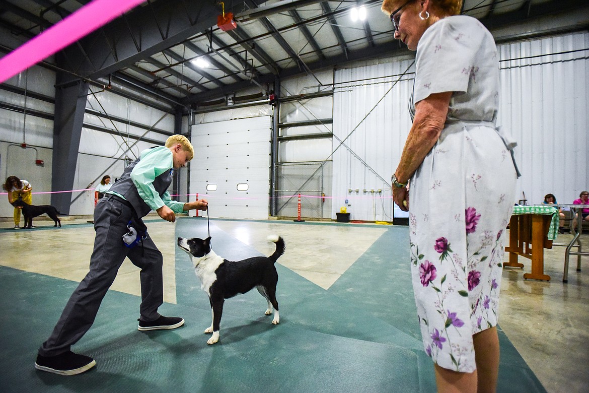 Colton Oedekoven shows his dog Meadow, a border collie cross, during the costume contest at the 4-H Dog Show at the Northwest Montana Fair on Friday, Aug. 12. At right is judge Penny Zorn. (Casey Kreider/Daily Inter Lake)