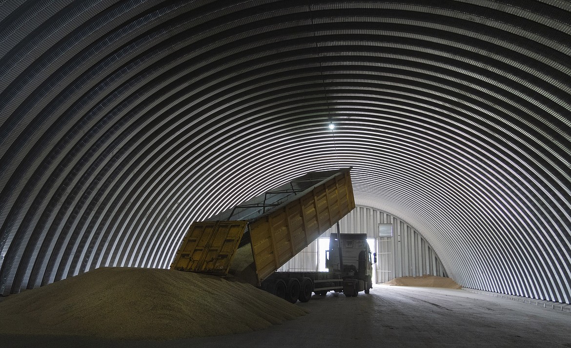 A dump track unloads grain in a granary in the village of Zghurivka, Ukraine, Tuesday, Aug. 9, 2022. A ship approached Ukraine on Friday, Aug. 12, 2022, to pick up wheat for hungry people in Ethiopia, in the first food delivery to Africa under a U.N.-brokered plan to unblock grain trapped by Russia’s war and bring relief to some of the millions worldwide on the brink of starvation. (AP Photo/Efrem Lukatsky, File)