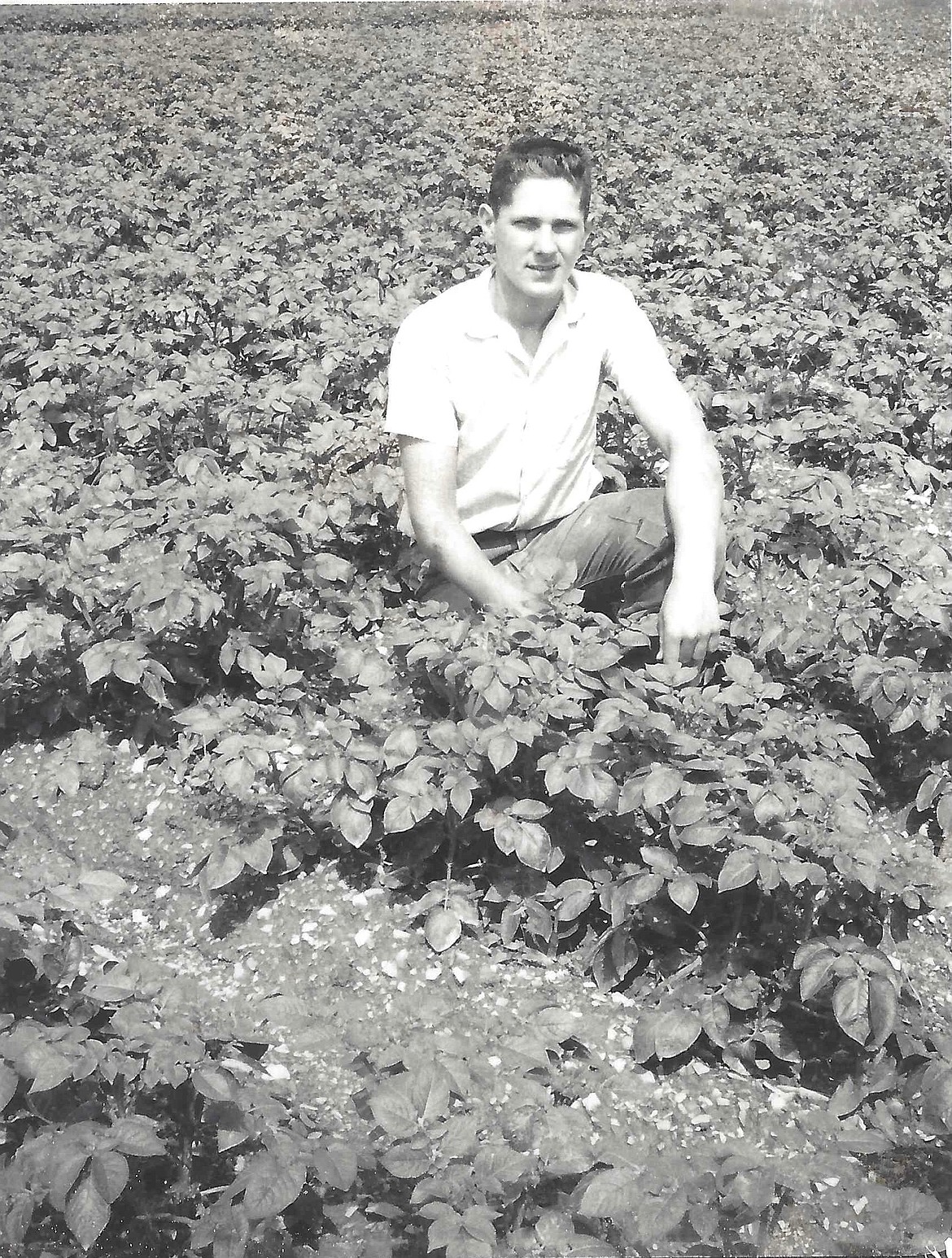 A young Warren Henninger out in a potato field.