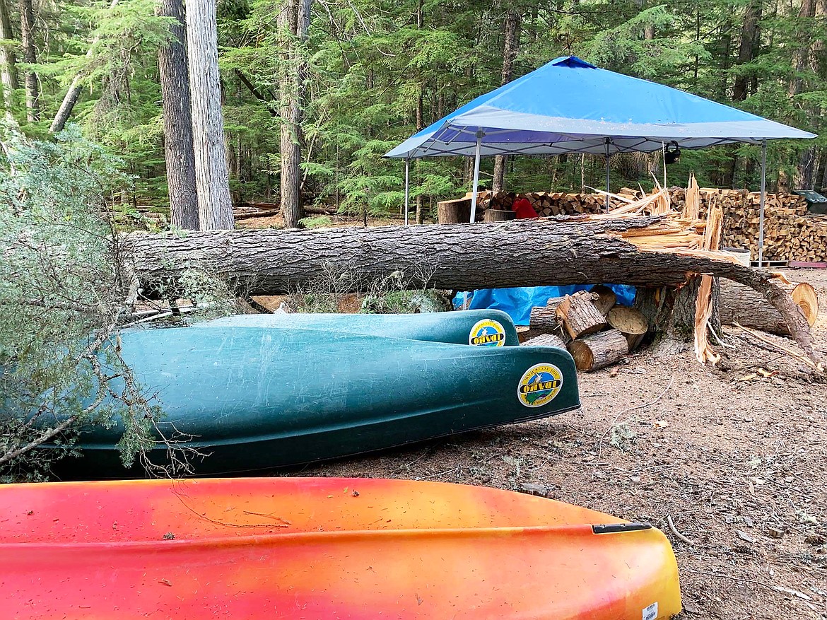 Broken trees due to wind are pictured at Priest Lake State Park's Lions Head Unit.