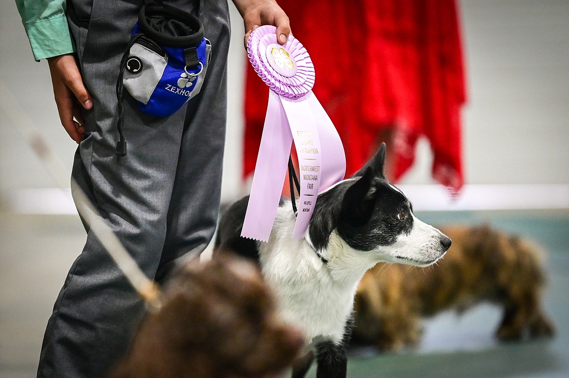 Colton Oedekoven holds a ribbon for Reserve Grand Champion with his dog Meadow, a border collie cross, during the 4-H Dog Show at the Northwest Montana Fair on Friday, Aug. 12. At right is judge Penny Zorn. (Casey Kreider/Daily Inter Lake)