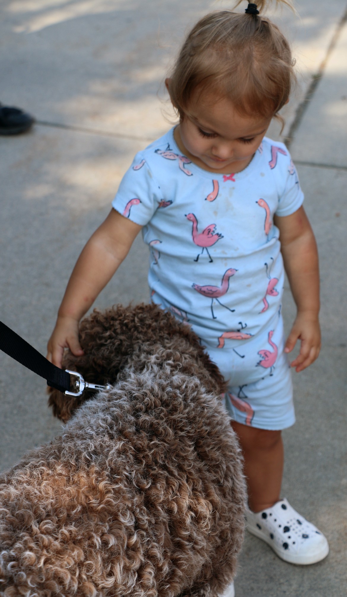 A youngster gives some gentle love to a four-legged attendee of Saturday's Arts & Crafts Fair. The weekend event was held for the 50th year in the community and featured a variety of arts, crafts and more.