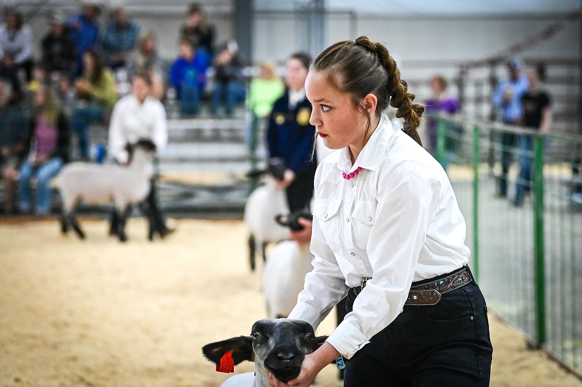 Laila Sargent leads her sheep around the arena for judge Mari Morris during senior sheep showmanship at the Northwest Montana Fair on Tuesday, Aug. 16. (Casey Kreider/Daily Inter Lake)