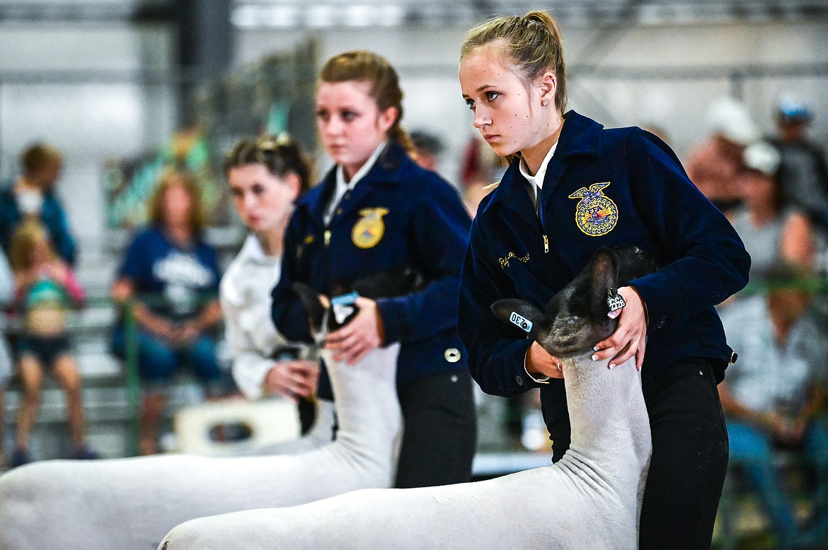 Paige Morrison positions her sheep during senior sheep showmanship at the Northwest Montana Fair on Tuesday, Aug. 16. (Casey Kreider/Daily Inter Lake)