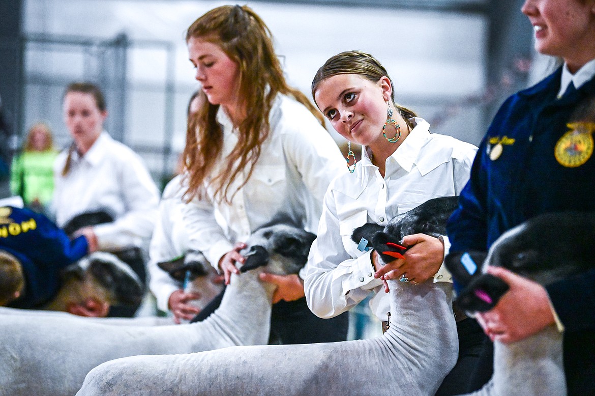 Mary Owens positions her sheep for judge Mari Morris during senior sheep showmanship at the Northwest Montana Fair on Tuesday, Aug. 16. (Casey Kreider/Daily Inter Lake)