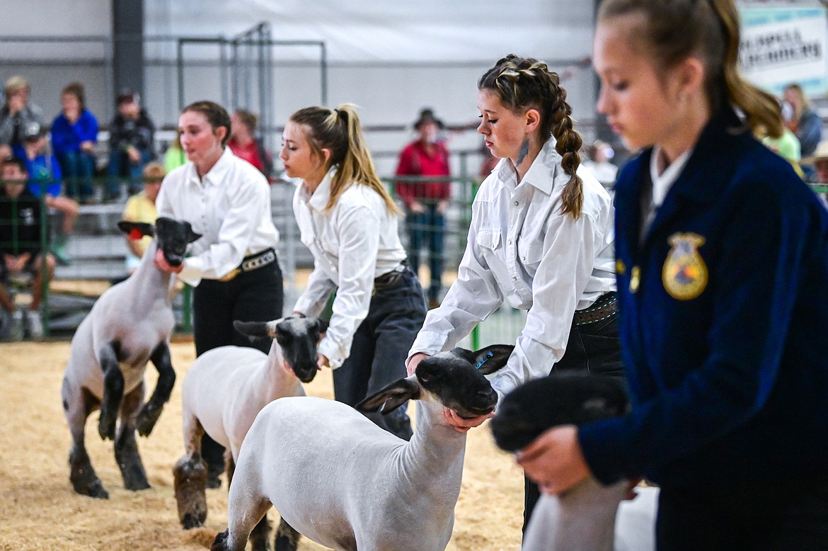 Contestants lead their sheep around the arena  during senior sheep showmanship at the Northwest Montana Fair on Tuesday, Aug. 16. (Casey Kreider/Daily Inter Lake)