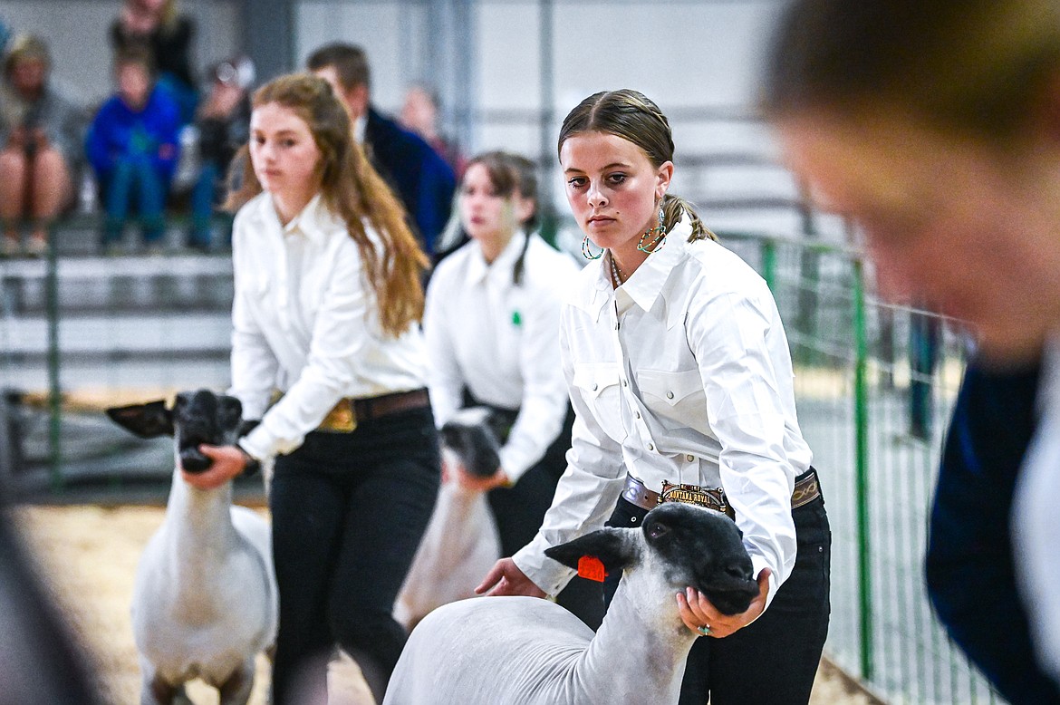 Mary Owens positions her sheep for judge Mari Morris during senior sheep showmanship at the Northwest Montana Fair on Tuesday, Aug. 16. (Casey Kreider/Daily Inter Lake)
