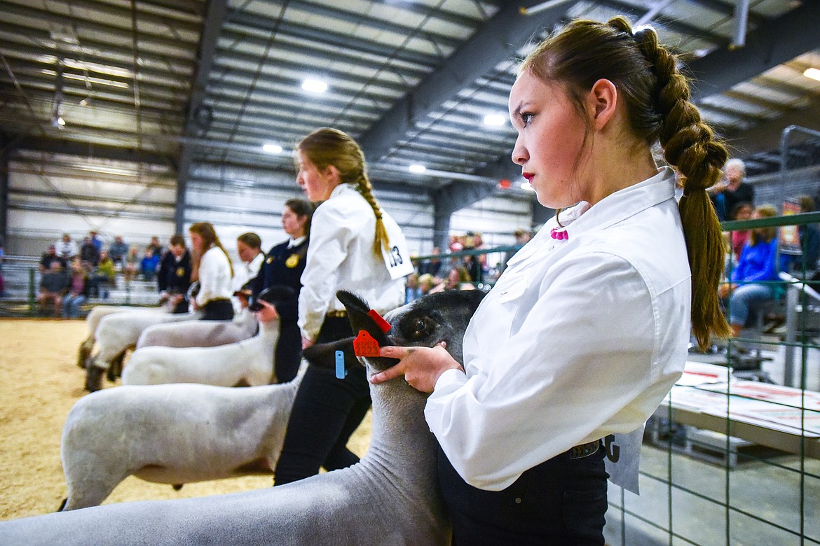 Laila Sargent positions her sheep for judge Mari Morris during senior sheep showmanship at the Northwest Montana Fair on Tuesday, Aug. 16. (Casey Kreider/Daily Inter Lake)