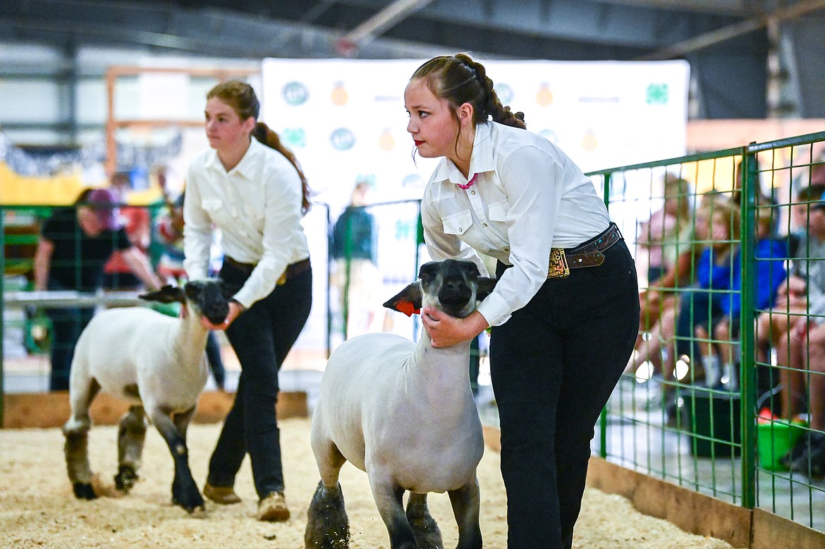 Laila Sargent leads her sheep around the arena for judge Mari Morris during sheep showmanship at the Northwest Montana Fair on Tuesday, Aug. 16. (Casey Kreider/Daily Inter Lake)