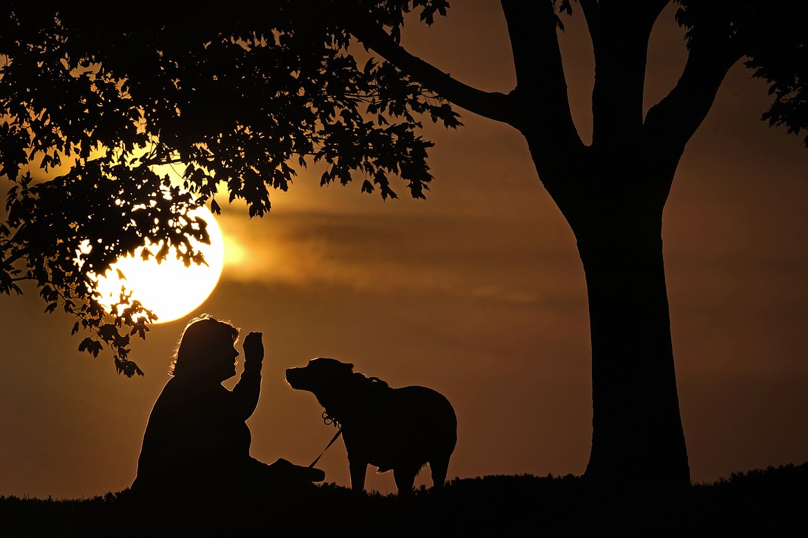 A woman plays with a dog at sunset, Saturday, Nov. 6, 2021, at a park in Kansas City, Mo. In August 2022, health officials are warning people who are infected with monkeypox to stay away from household pets, since the animals could be at risk of catching the virus. (AP Photo/Charlie Riedel, File)