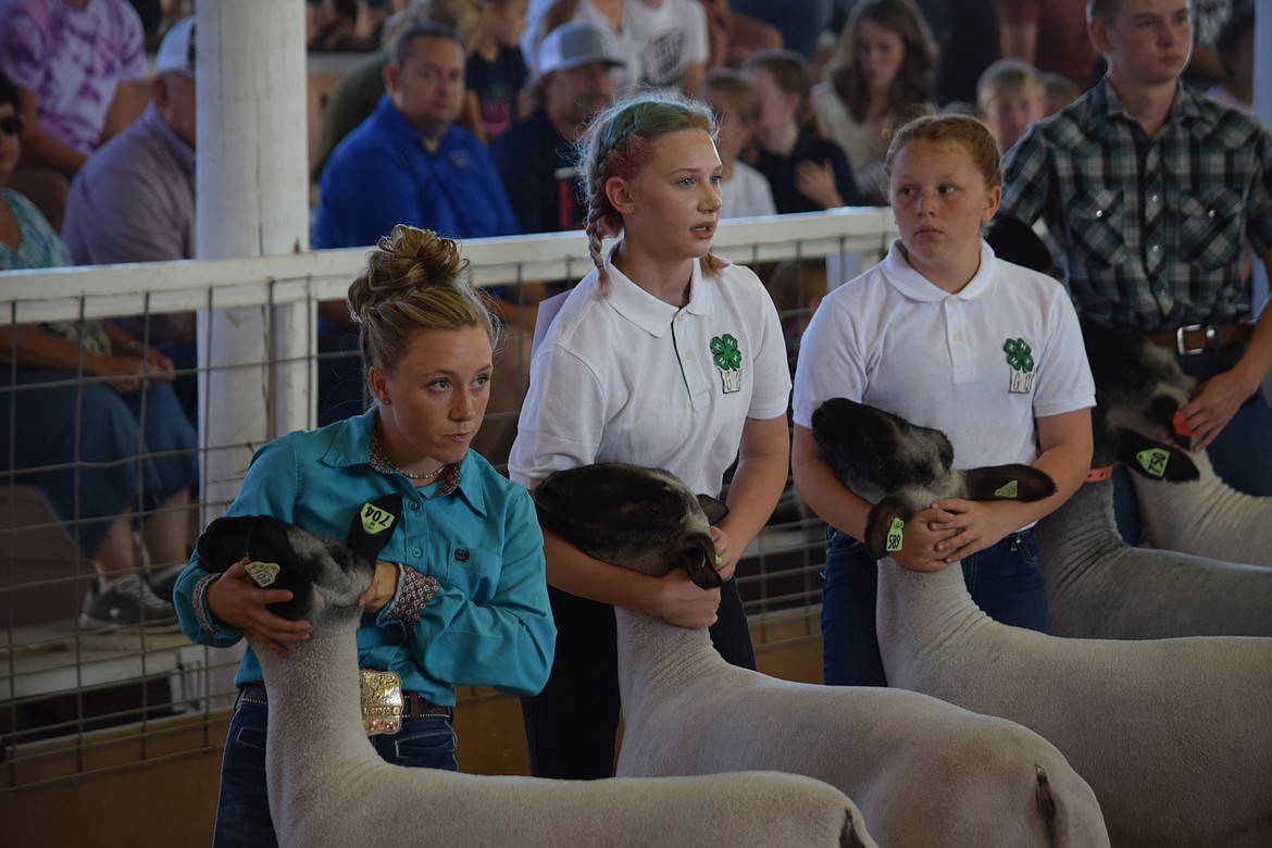 Three 4-H students stand and wait to hear how they did during a round of sheep showing and fitting at this year’s Grant County Fair.