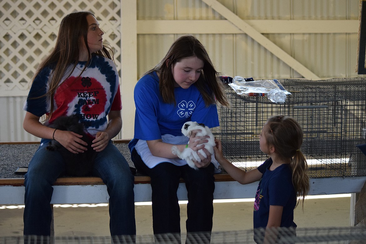 Clair Mallory, 14, lets a girl pet her Netherland dwarf rabbit Fraya while sitting with her friend Tessa Hauskens, 14, who holds her lionhead rabbit Rosalie, in the Rabbit Barn of the Grant County Fairgrounds on Tuesday. Mallory said she continues to show rabbits because they’re cute. “ I always get bigger animals to show but can never go away from rabbits,” she said. “They're so cute. They're really lovable, curious creatures and I think it's really fun just to show them and share my knowledge.”