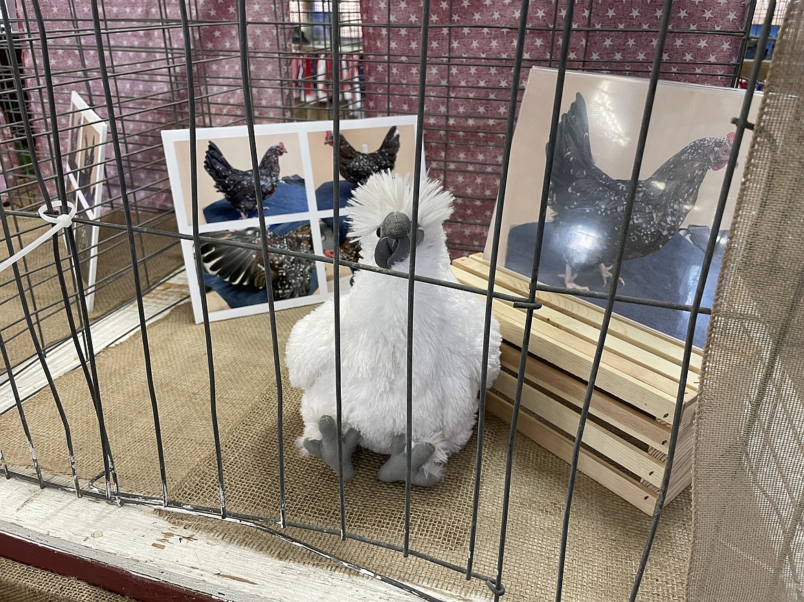 A stuffed chicken on display showing how fair organizers would like to see this year’s “birds” displayed. The stuffed chicken and the photographs are substitutes for live birds, which were kept at home this year to prevent the spread of avian influenza.