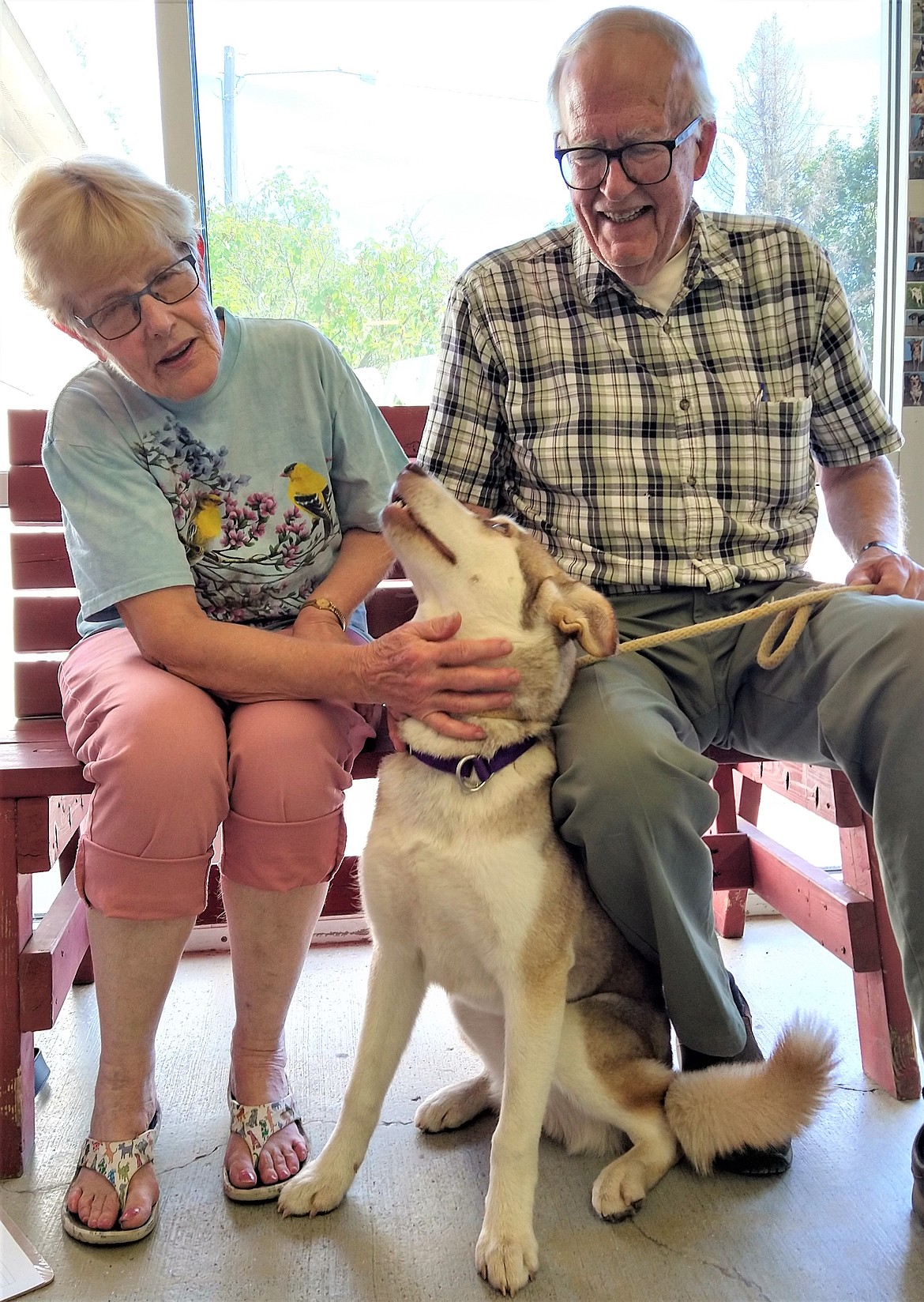 Judi Horton and Tom Bacon adopted Freya, a one-year-old Alaskan Husky, on Tuesday at the Kootenai Humane Society.