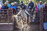 PHOTOS: Bull Bash at the Blue Moon