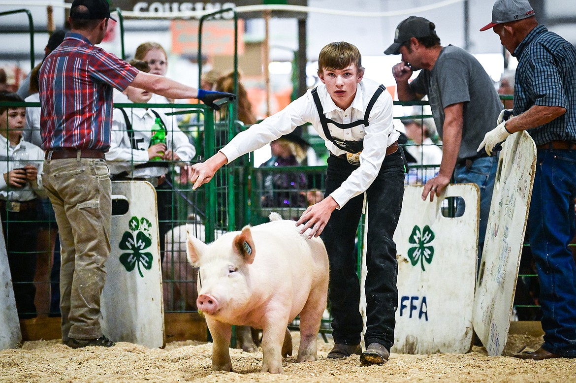 Tracen McIntyre guides his pig as they enter the arena during senior swine showmanship at the Northwest Montana Fair on Wednesday, Aug. 17. McIntyre won grand champion. (Casey Kreider/Daily Inter Lake)