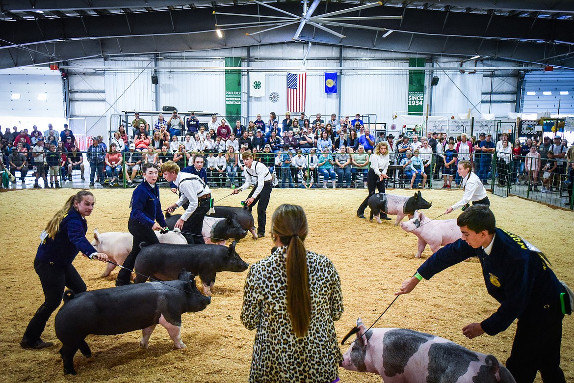 Judge Mari Morris watches contestants guide their pigs around the arena during senior swine showmanship callbacks at the Northwest Montana Fair on Wednesday, Aug. 17. (Casey Kreider/Daily Inter Lake)