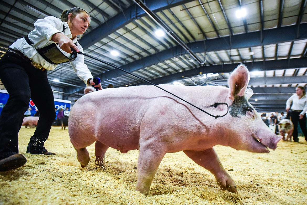 Daisy Becker guides her pig around the arena during senior swine showmanship  at the Northwest Montana Fair on Wednesday, Aug. 17. (Casey Kreider/Daily Inter Lake)