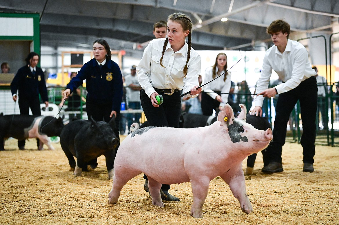 Contestants guide their pigs around the arena during senior swine showmanship at the Northwest Montana Fair on Wednesday, Aug. 17. (Casey Kreider/Daily Inter Lake)