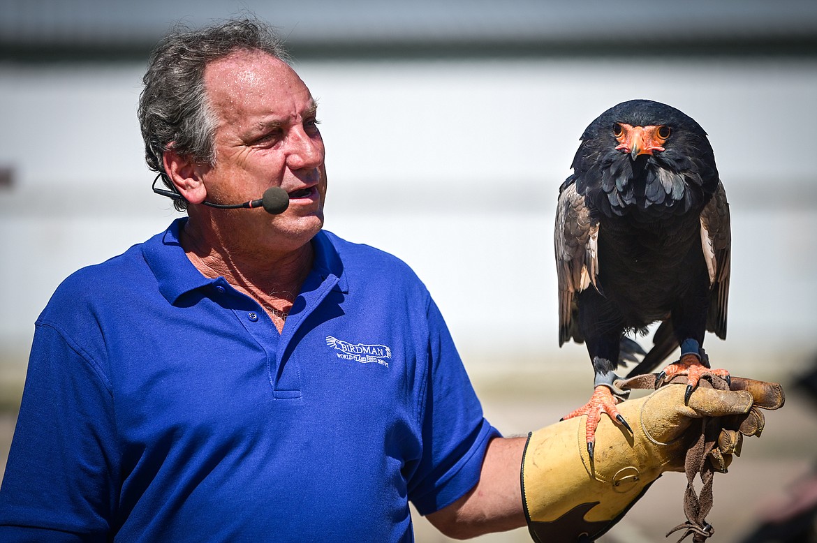 The Birdman Joe Krathwohl handles a Bateleur eagle during his show at the Northwest Montana Fair on Wednesday, Aug. 17. (Casey Kreider/Daily Inter Lake)