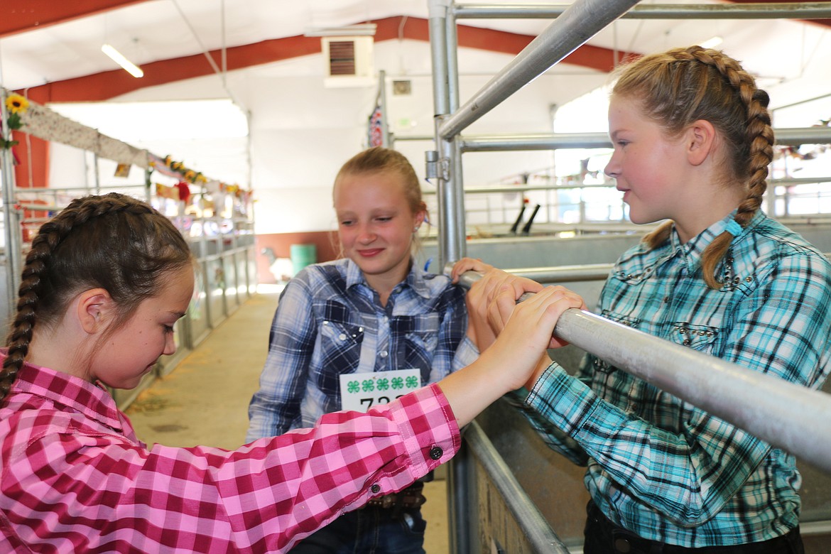 Kassidy Bond of the Beaver Creek Critters, Addison Jacobe of the Gold 'n' Grouse, and Cabela Sullivan of the Beaver Creek Critters find a moment to catch up Tuesday at the Bonner County Fair.