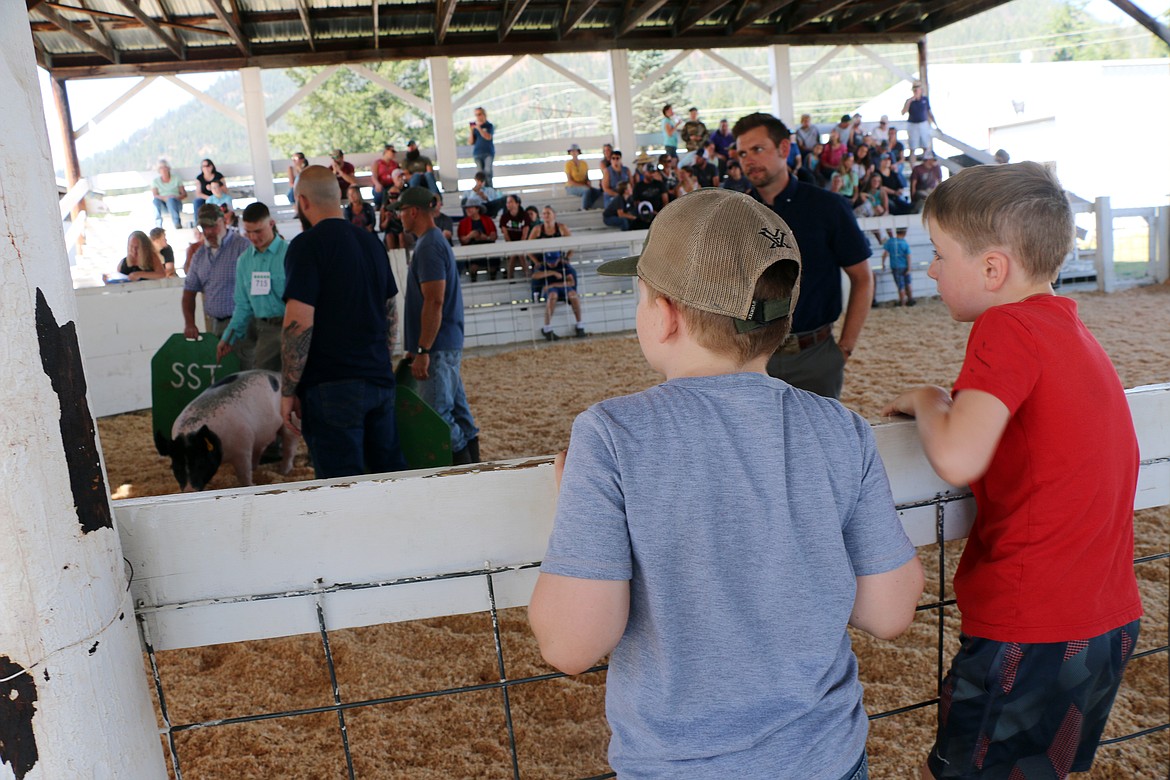 A young duo watches the action during a swine competition Tuesday at the Bonner County Fair.