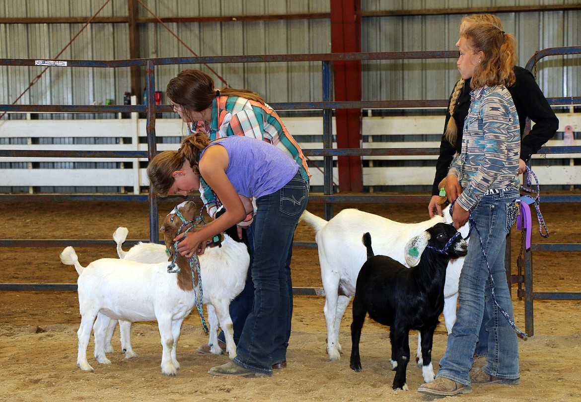 Goats get their time in the arena Tuesday during a early event.