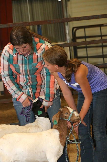 Bonner County Fair: Red, White and Bloom | Bonner County Daily Bee