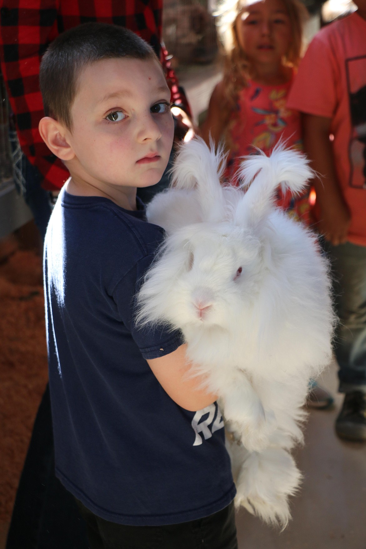 A youngster holds a German Angora rabbit owned by a local 4-H youth at the Bonner County Fair on Wednesday.