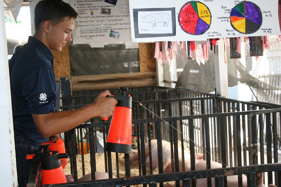 Jack Gilbert aims a stream of water at a pig in the swine barn at the Grant County Fair Wednesday. Triple-digit temperatures require exhibitors to watch their animals closely.