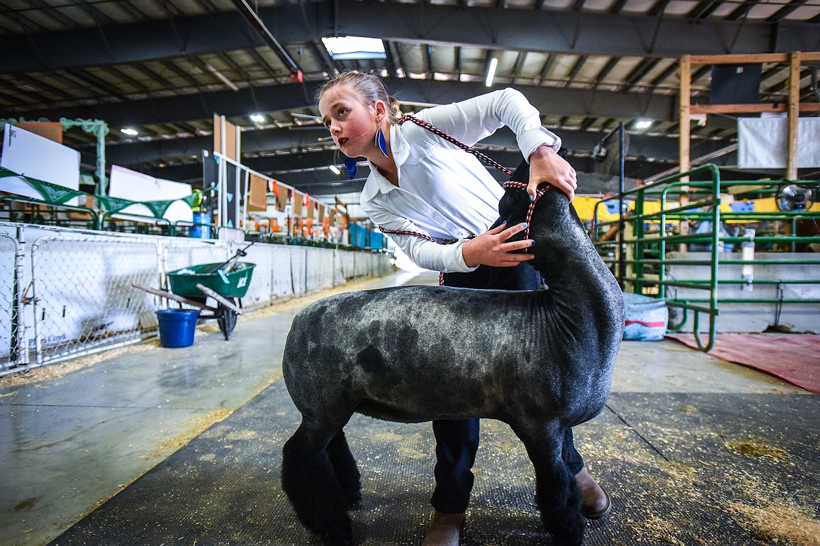 Halsey Middlemist practices positioning her sheep before junior sheep showmanship at the Northwest Montana Fair on Tuesday, Aug. 16. (Casey Kreider/Daily Inter Lake)