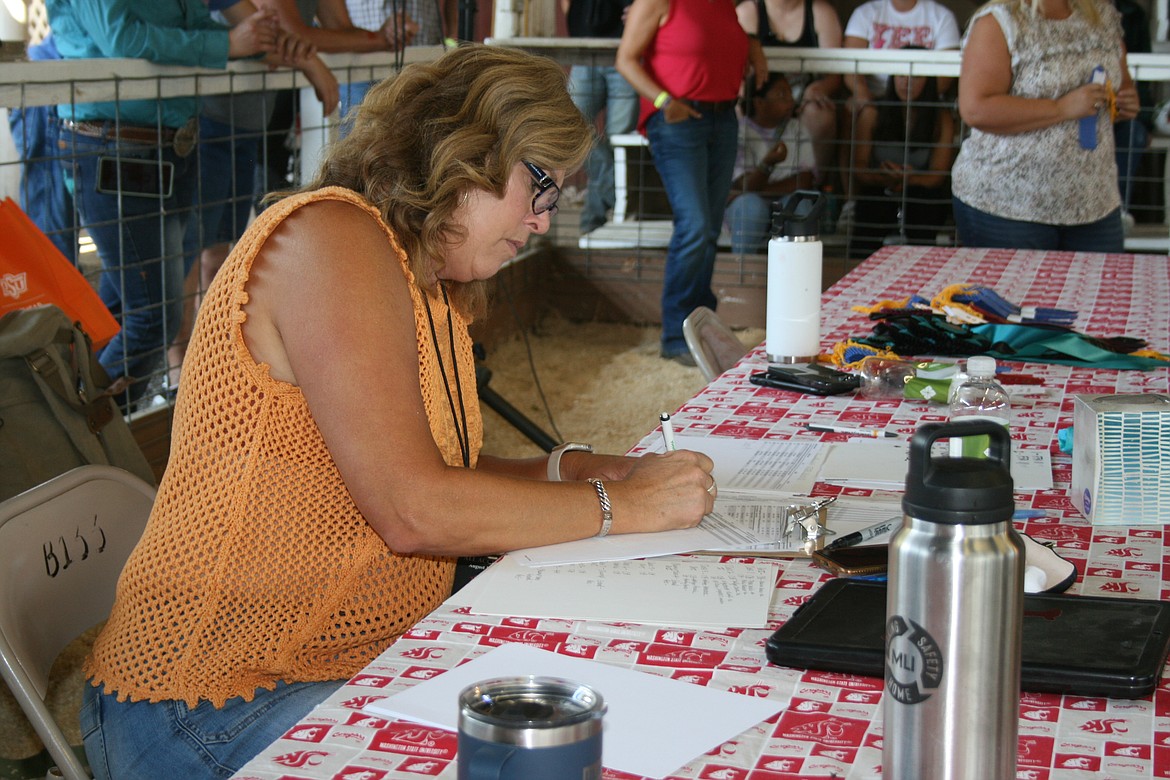 Tawna Sandman checks the entries in the lamb fitting and showing competition at the Grant County Fair Thursday. Sandman has been volunteering at the fair for eight years, she said.