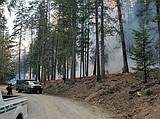 Area fires see growth