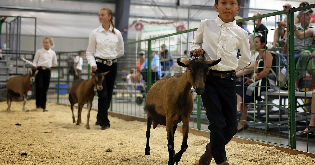 Old Goats, New Name - Flathead Beacon