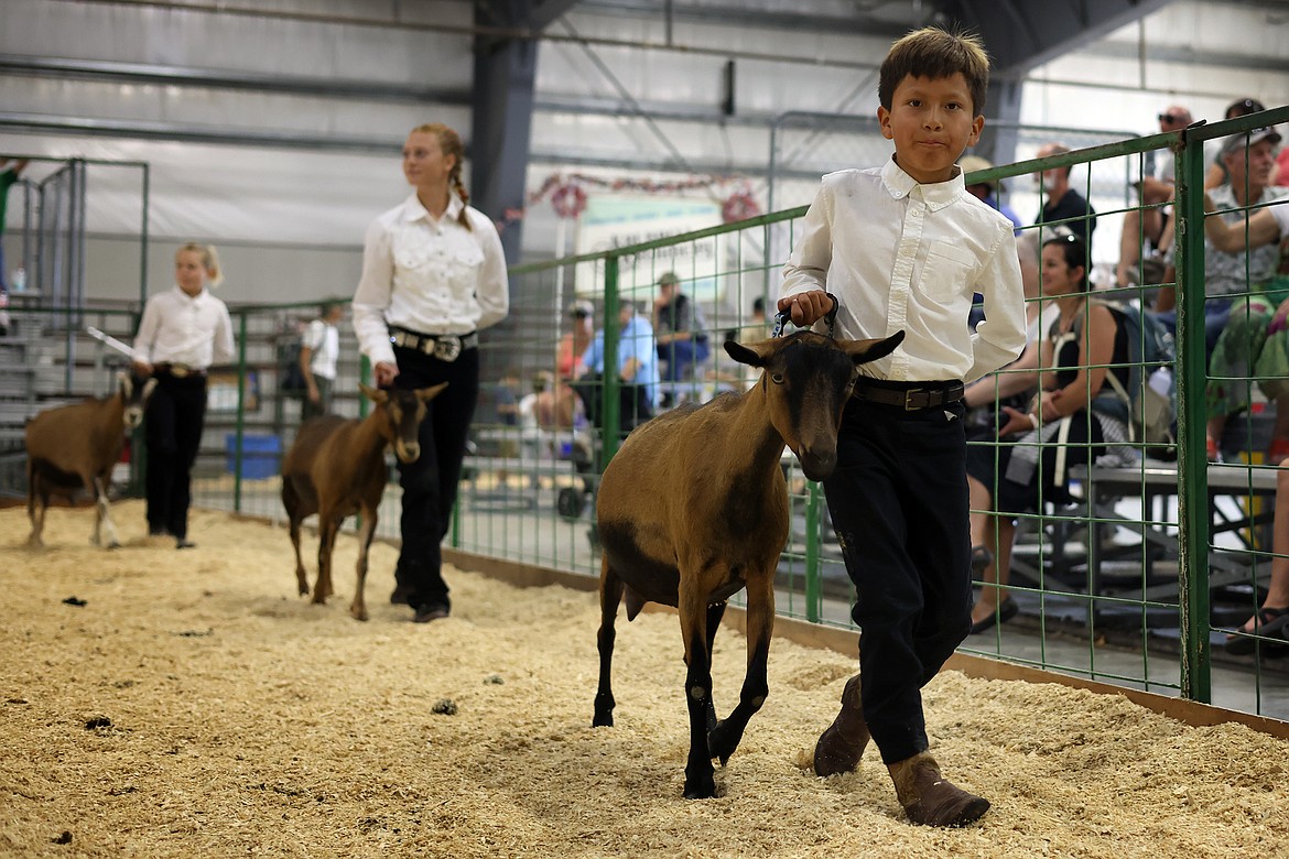 Kalispell's Brody Fairchild exhibits his goat at the Northwest Montana Fair in Kalispell Aug. 18. (Jeremy Weber/Daily Inter Lake)