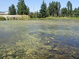 Health advisories issued for Avondale Lake and Morton Slough