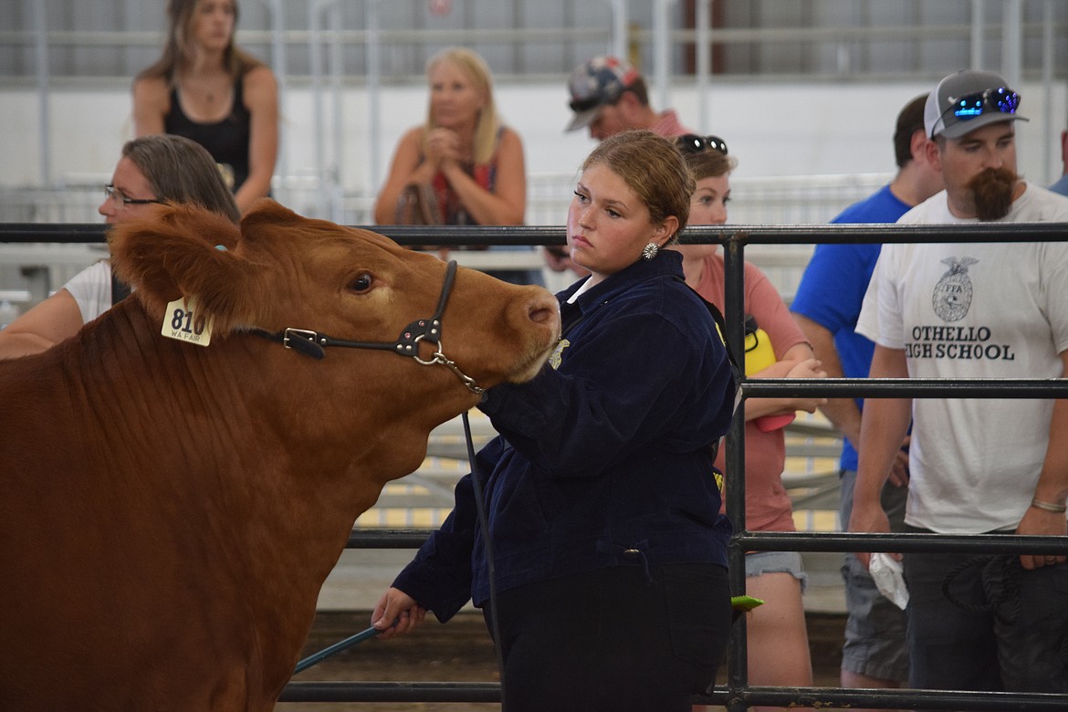 Rylee Wilson stands with Buttercup during competition Thursday morning at this year’s Grant County Fair.