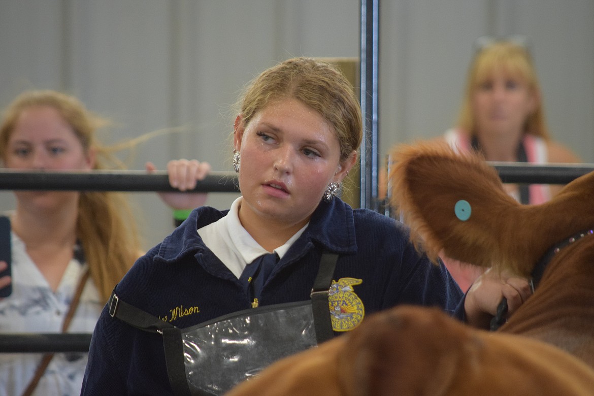 Wilson Creek native Rylee Wilson stands in the heat of the Ardell Pavillion on Thursday after winning a grand champion ribbon with her steer Buttercup at this year’s Grant County Fair, which she said will be her last Future Farmers of America competition at the fair. She is headed to college this fall.