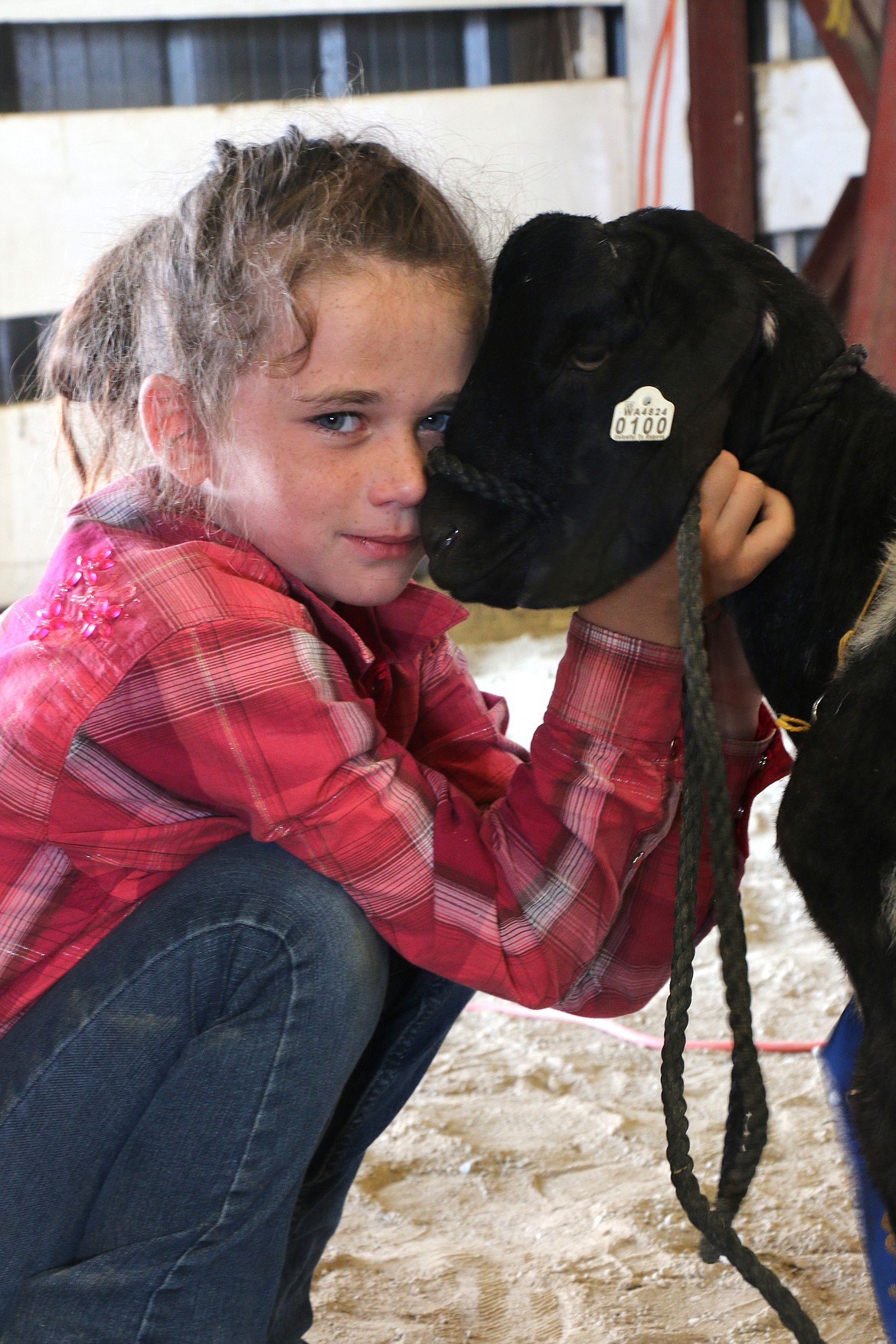 A young 4-H'er gives her critter a hug during the Market Animal Sale on Saturday at the Bonner County Fair.
