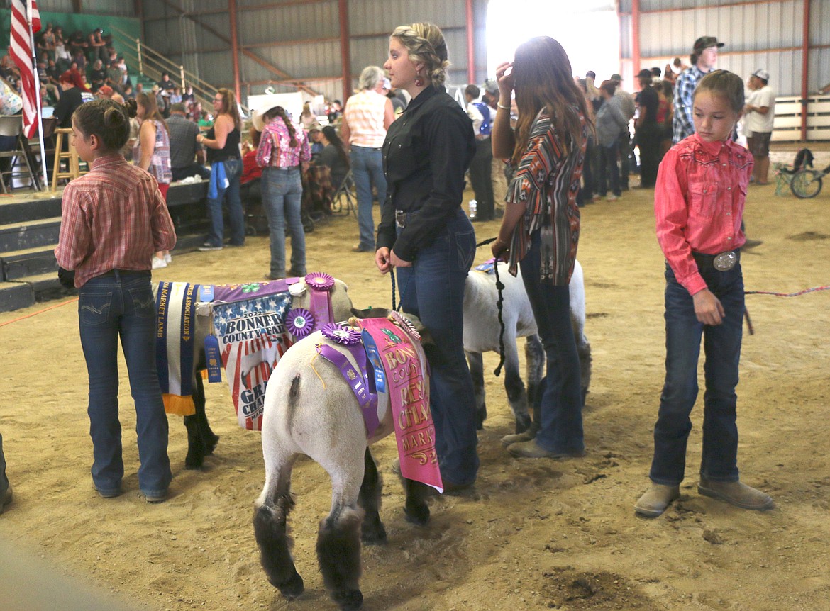 Young 4-H'ers wait their turn in the arena at the Market Animal Sale on Saturday at the Bonner County Fair.