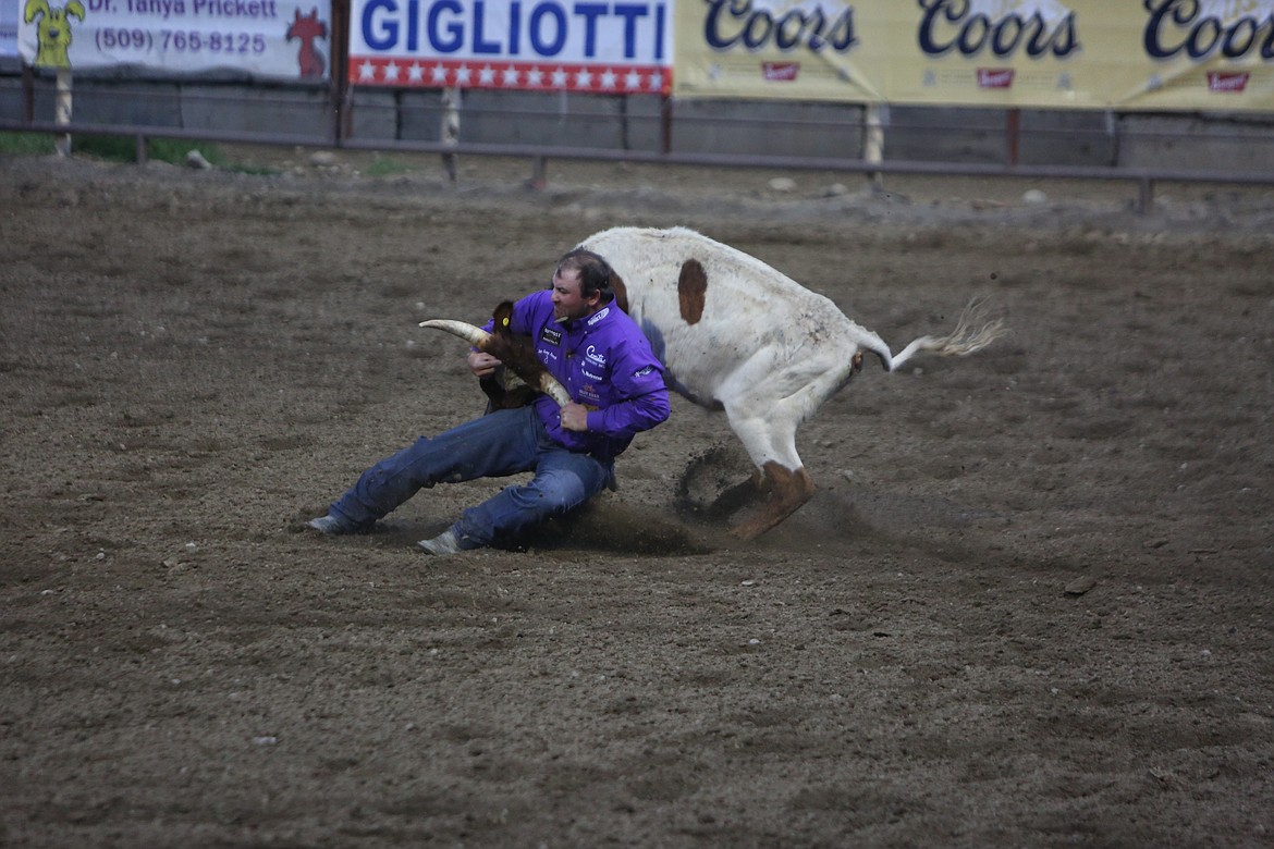 Steer wrestling sees riders wrestle a steer to the ground after dismounting their horse. Wrestlers attempt to do this in the shortest time possible, with time stopping once all four legs of the steer are pointing in one direction.