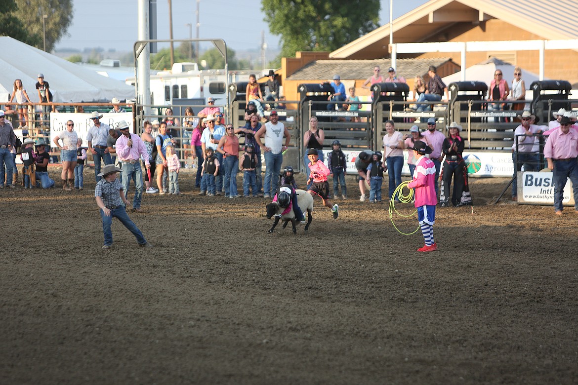 Rodeo pre-show events included mutton bustin’, which had children ages 4-7 riding on top of sheep.