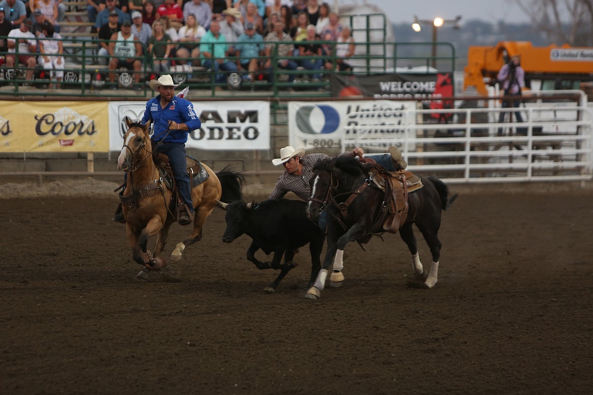 During steer wrestling, riders leap off their horses and toward a running steer to wrestle it to the ground.